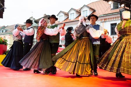 Presenetljiv odziv ob prvem dnevu praznovanja 50. Dnevov narodnih noš in oblačilne dediščine v Kamniku (11)